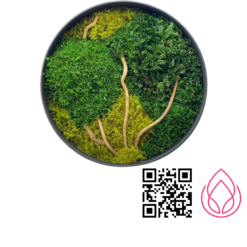 تابلو ماس وال مدل لورا قطر۶۰