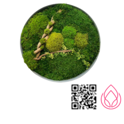 تابلو ماس وال مدل لامیا قطر۶۰