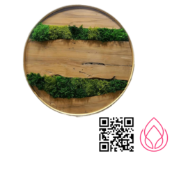 تابلو ماس وال مدل سانیا قطر۶۰