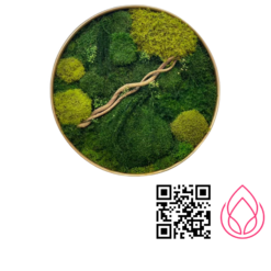 تابلو ماس وال مدل لیزا قطر۶۰