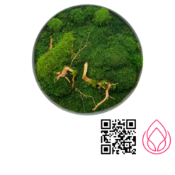 تابلو ماس وال مدل کرشمه قطر۶۰