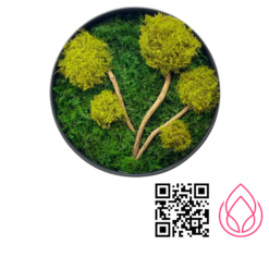 تابلو ماس وال مدل فردوس قطر۶۰