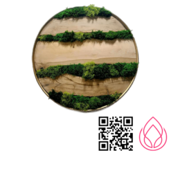 تابلو ماس وال مدل زوشا قطر۶۰