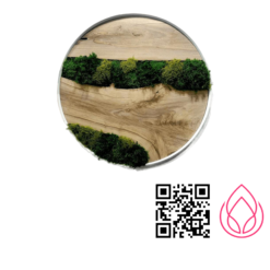 تابلو ماس وال مدل زینا قطر۶۰